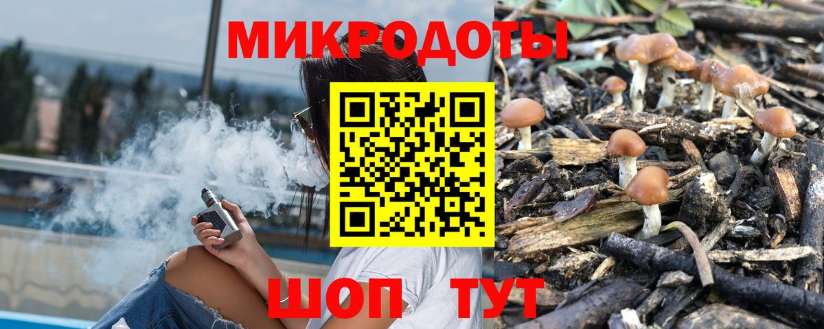 Галлюциногенные грибы MAGIC MUSHROOMS  Вход с VPN  Сыктывкар  Псилоцибиновые грибы мухоморы 